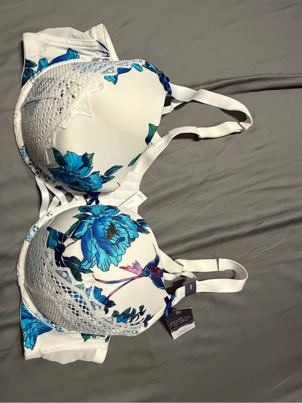 Lane bryant seriously sexy